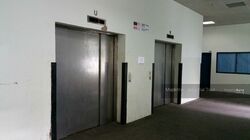 Loyang Industrial Estate (D17), Factory #301125221